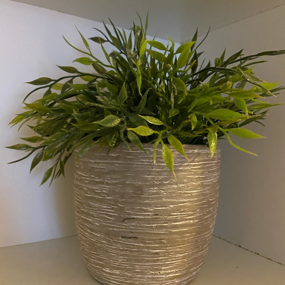 Plants - repost!